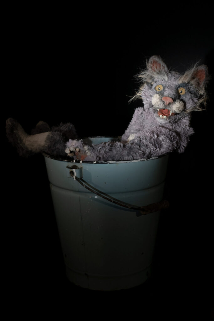 Katze