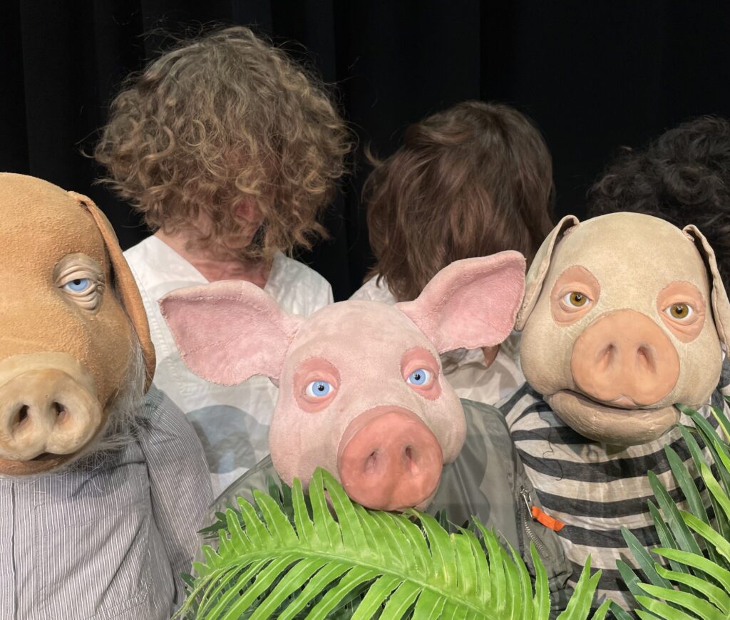 die schweine